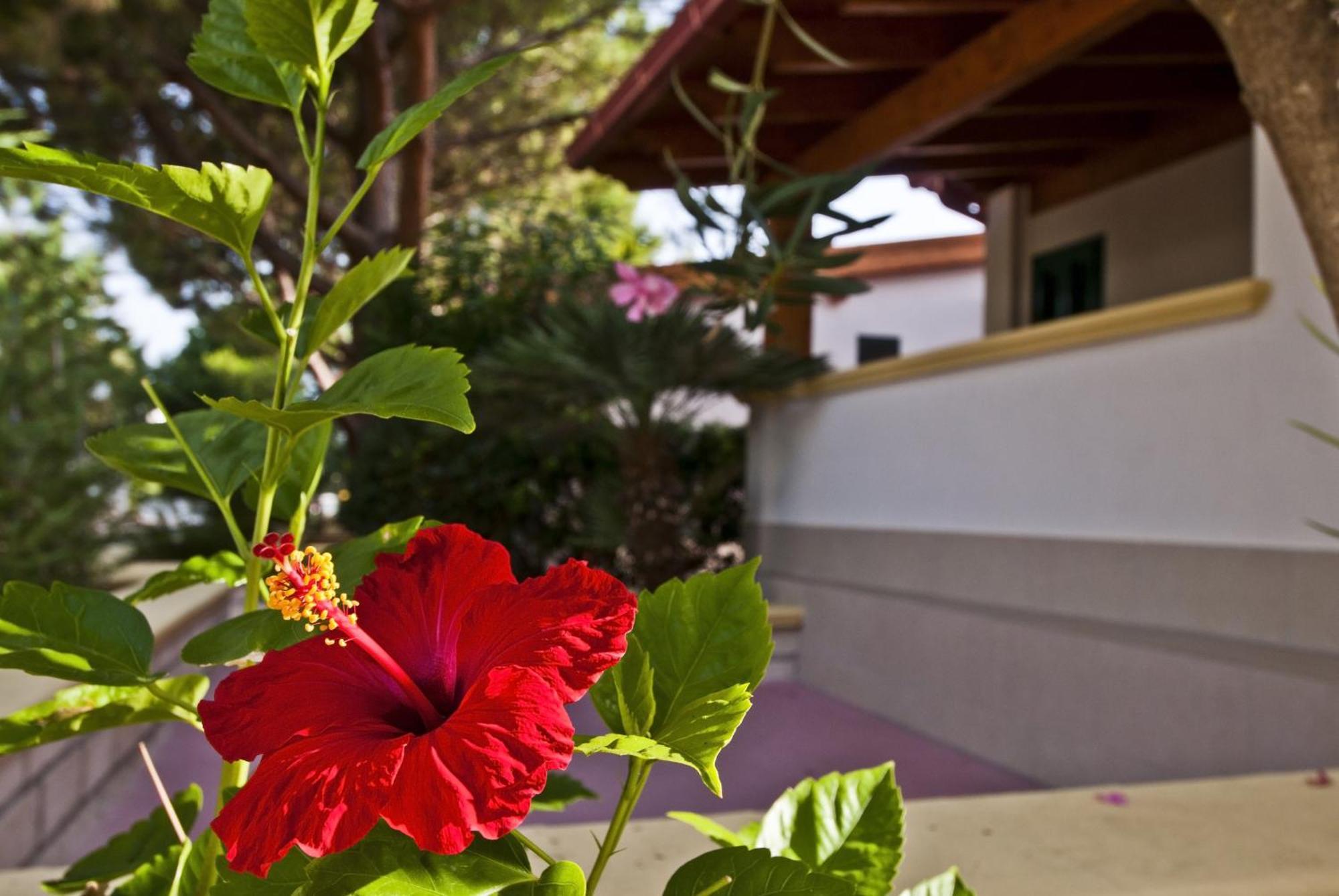 Green Park Village Vieste Exterior photo